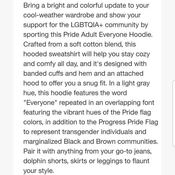 Take Pride Everyone Welcome Gray Rainbow Hoodie New with Tags Unisex Sz. SMALL - Picture 5 of 10